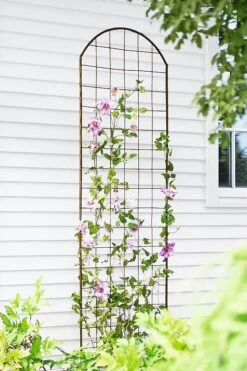 Best Seller 11 Jardin Flower Trellis