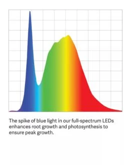 Floor Sunlite® Garden -Garden Care Shop LED ColorSpectrum grid PDP 10