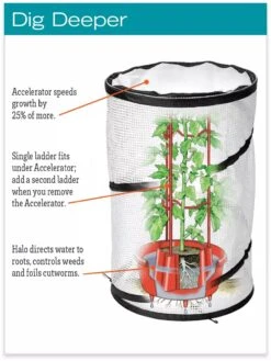 Tomato TLC Kits, Set Of 3 11 Tomato TLC Kits, Set Of 3 -Garden Care Shop hiw 8594214 jpg