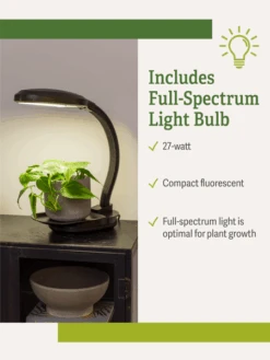Agrobrite Desktop Plant Light -Garden Care Shop webimage Agrobrite Desktop